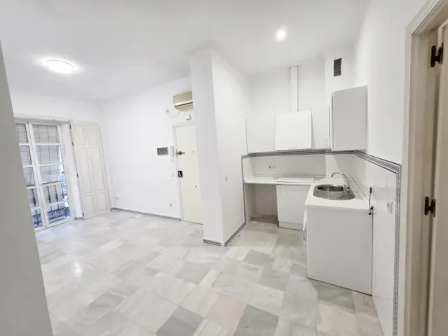 Apartamento 1 habitación 48m² en alquiler - Puerta Carmona-Puerta Osario-Amador de los Ríos — 10