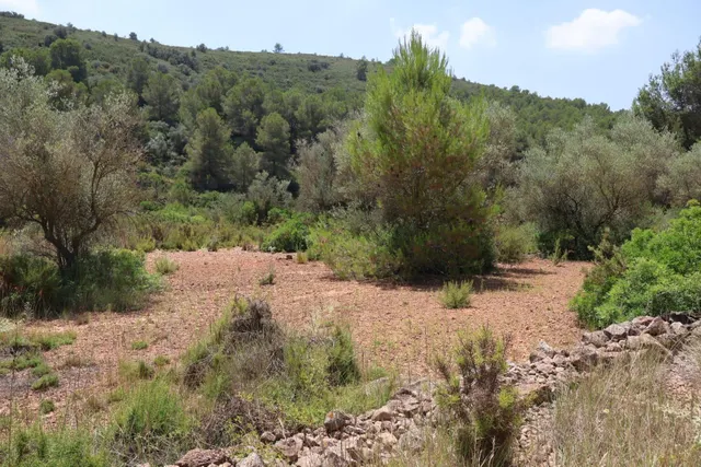 MASIA RUSTICA EN DOS HECTAREAS DE TERRENO ZONA POU DE BECA — 34