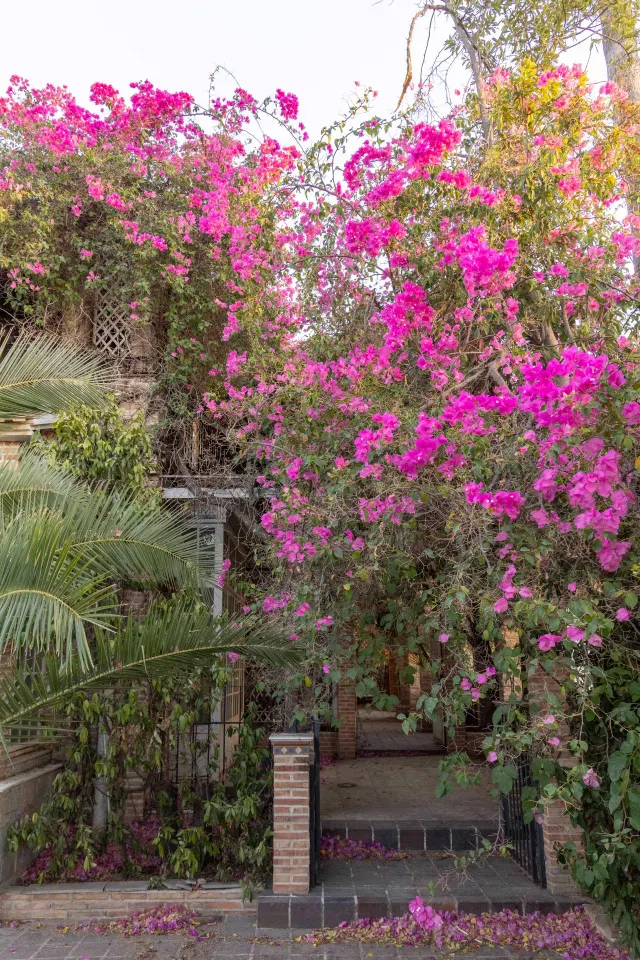 CHALET EN SANTO ÁNGEL — 16