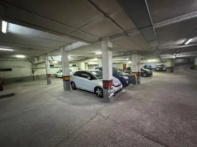 Plaza de parking para auto grande — 11