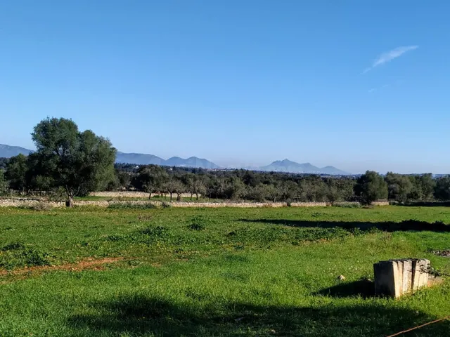FINCA RÚSTICA PERFECTA PARA CONSTRUIR - foto 2
