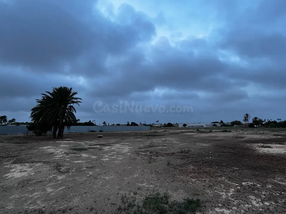 Parcela en alquiler - San Javier