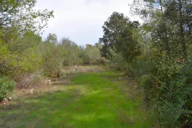 Finca rústica con posibilidad de vivienda en Llubi — 19