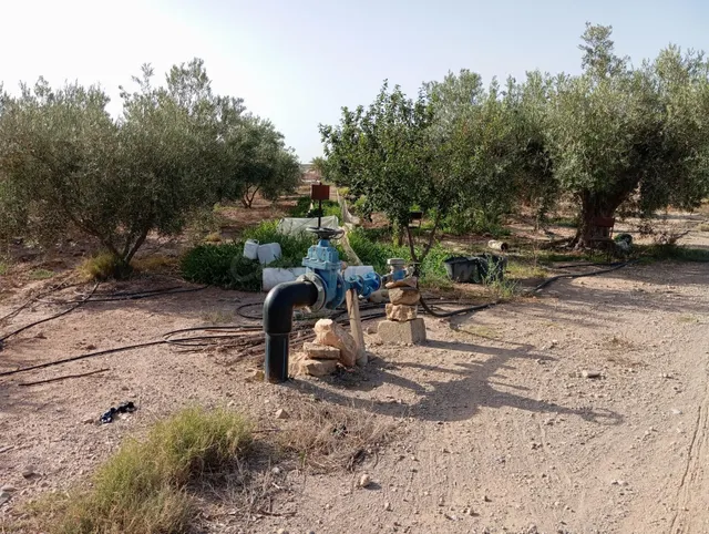 FINCA AGRICOLA DE 14 HAS CON 2 VIVIENDAS Y ALMACENES - foto 4