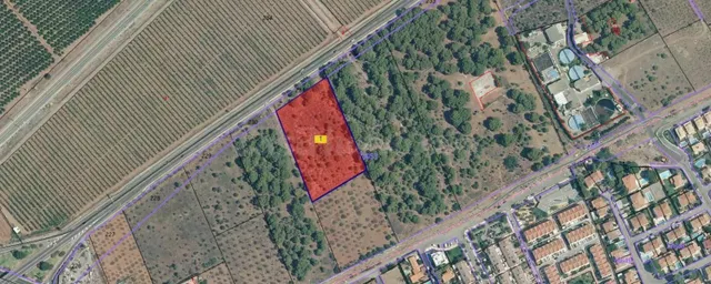 Terreno urbano 10003m² en venta - Pueblo - foto 2