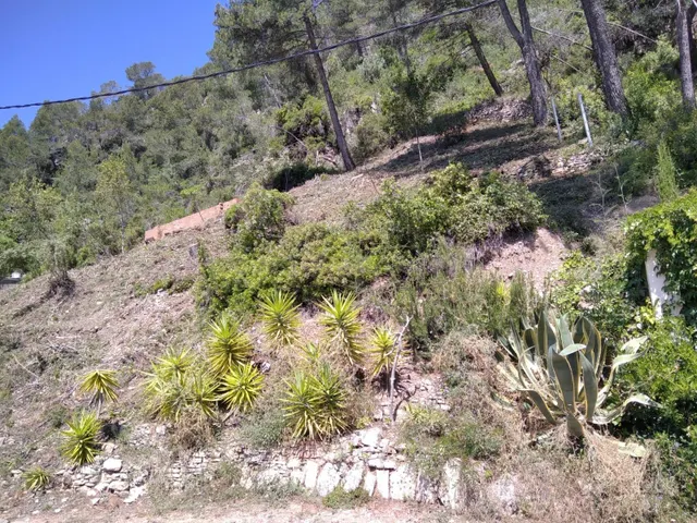 FANTÑSTICA PARCELA DE 950 M2 EN URB. EL MIRADOR - foto 2
