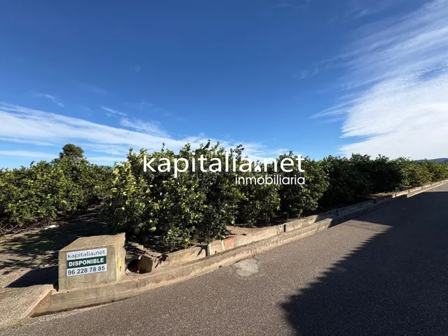 FINCA DE NARANJOS DE 18000MTRS EN PLENA PRODUCCION A LA VENT