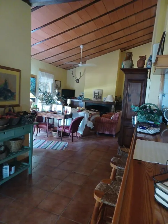 Magnífica casa de campo con piscina y vistas a Moguer, en finca de casi 15.000 m2 — 6