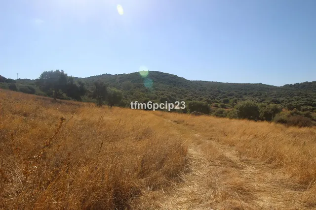 Finca rústica de 37.570 m² en Casares, Costa del Sol — 12