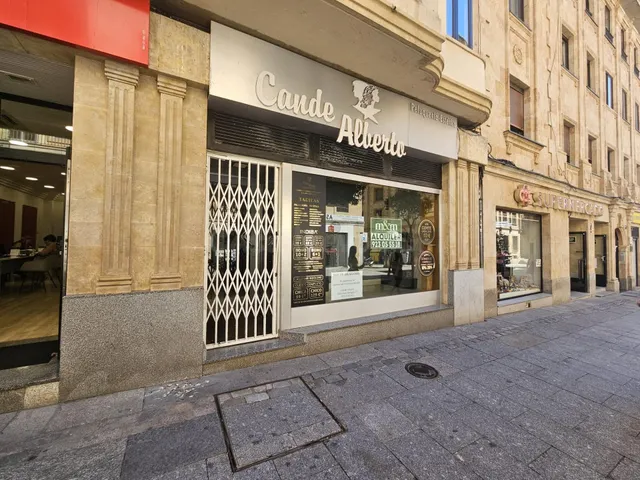 LOCAL COMERCIAL EN PLENA CALLE ZAMORA - foto 3