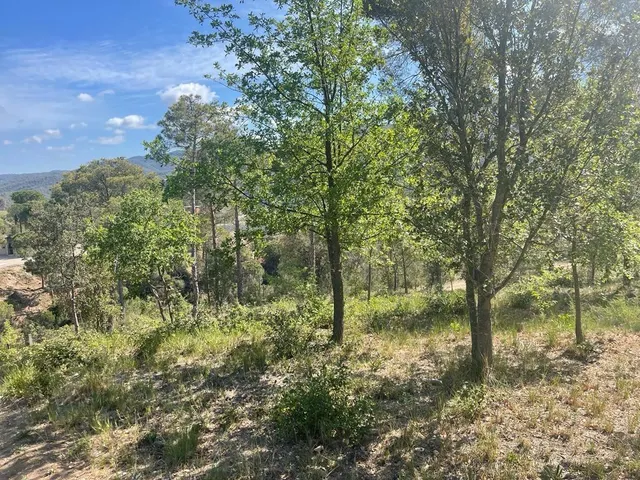 TERRENO EN CA L´ANTON — 2