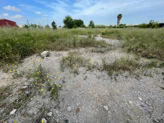 Terreno en alquiler en La Punta (Quatre Carreres) - foto 3