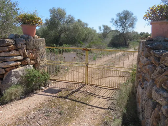 Finca rústica con edificaciones en venta Vallgornera Llucmaj - foto 2
