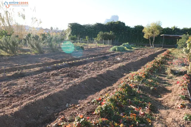 Conjunto de parcelas en Canet de Berenguer (zona gasolinera) — 5