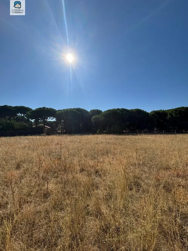 Parcela en urbanización dehesa de peñalba — 7
