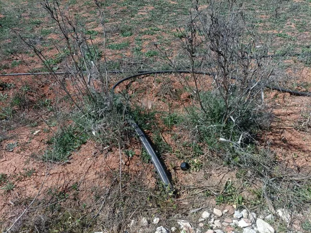 Finca rústica en venta — 15