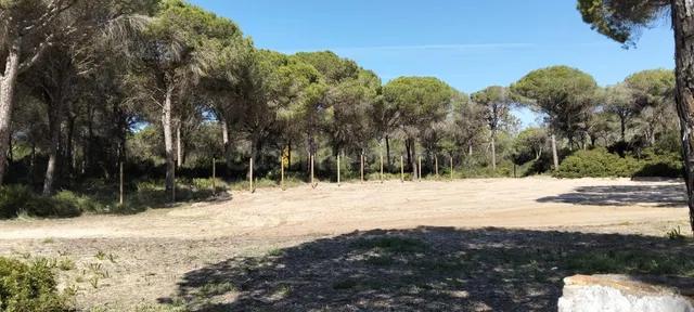 TERRENO CON CONSTRUCCIÓN EN PINAR DE HIERRO - foto 3