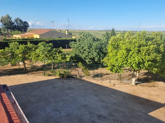 Finca rustica el pintado, Gibraleón — 32