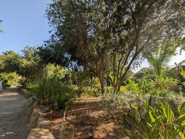 Casa de pueblo en Venta en Linea De La Concepcion, La Cádiz — 43