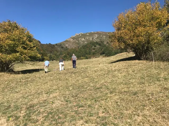 Terreno en Dobres- Ranes, Vega de Liébana. — 16