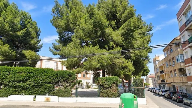 Local comercial de 516 m2 en Mula – Avenida Juan Viñegla, nº - foto 2