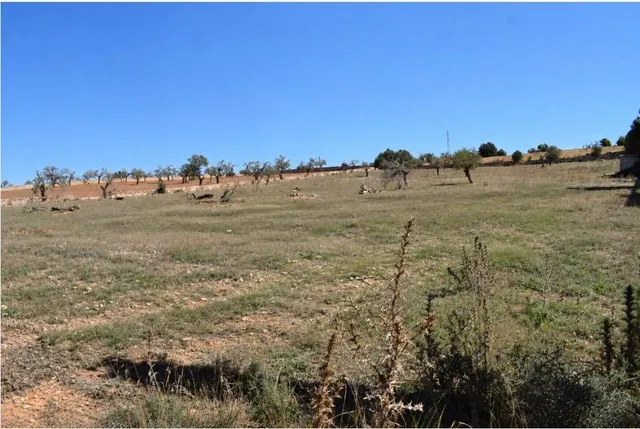 Finca rústica con posibilidad de vivienda en Ariany — 10