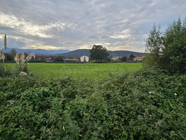 Terreno rural en venta - Tanos