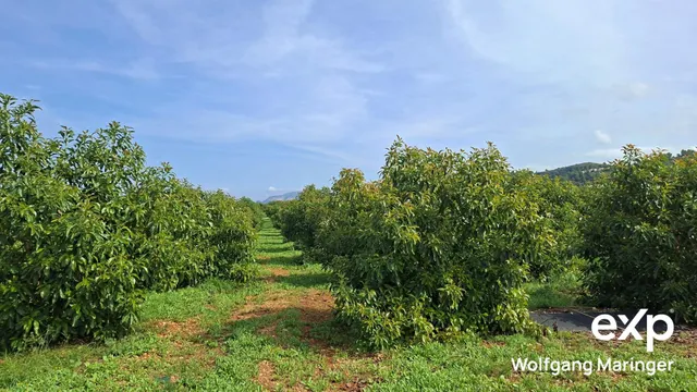 VILLA SEÑORIAL EN BENIDOLEIG | Privacidad, naturaleza y elegancia mediterránea — 20
