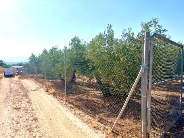 ALBOLOTE - PANTANO CUBILLAS — 24