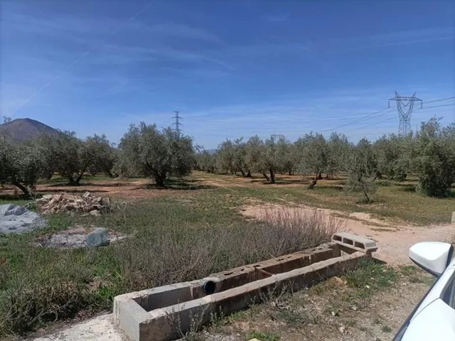 Finca rústica en venta — 12