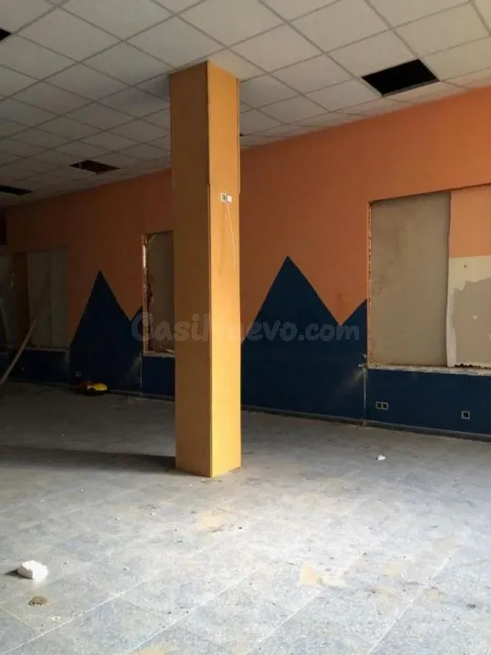SE ALQUILA O VENDE BAJO 250M2 ZONA LAGUNAS - foto 3