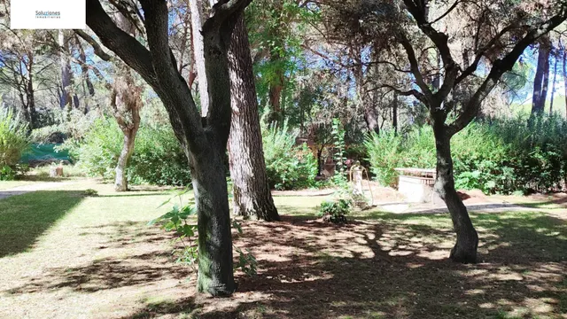 Chalet en los Pinares del Júcar — 17
