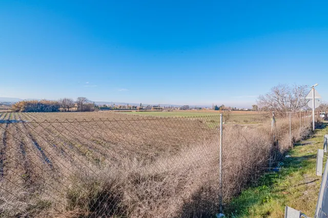 Excelente finca de regadío en la Vega de Granada, con acceso directo — 27