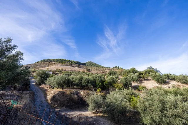 Finca rústica en venta en Pinos del Valle (Valle de Lecrín) — 31