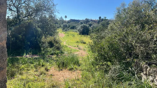 Se vende finca rústica con caseta en Marratxí — 10