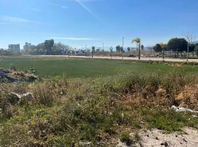 Terreno urbano residencial en la Playa de Piles — 6