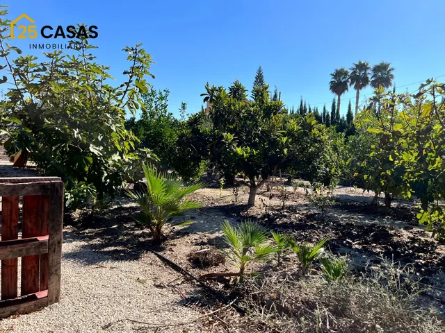 Chalet en Dolores con piscina climatizada, casa de invitados, paneles solares y mucho más — 50