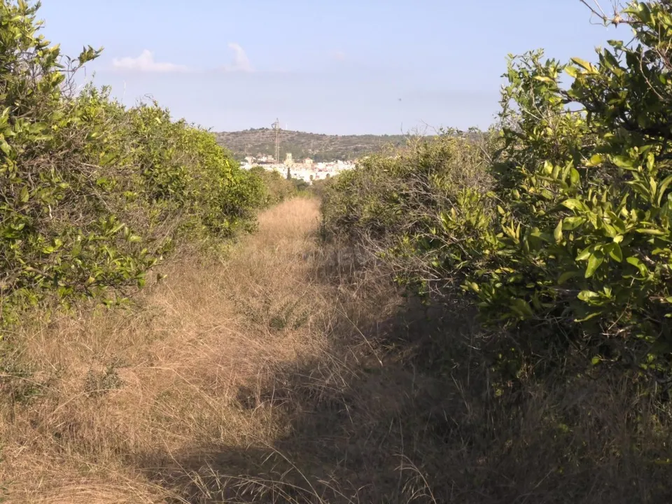 Finca rústica de naranjos en Alcanar