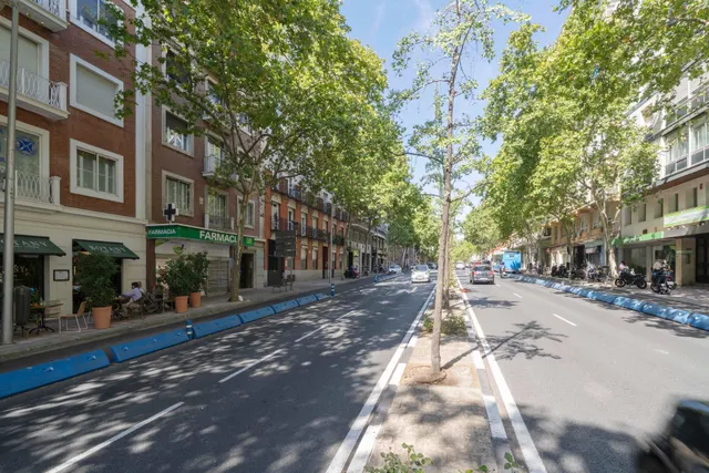 Vivienda clásica de 4 dormitorios con vistas a jardín en el barrio de Castellana — 34