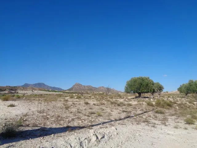 TERRENO EN EL FENAZAR — 4
