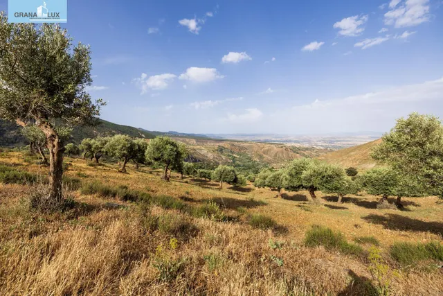 En Venta Maravilloso Paraje Natural, a medio camino entre Granada y Sierra Nevada, a veinte minutos en coche, desde cada una de ellas. — 16