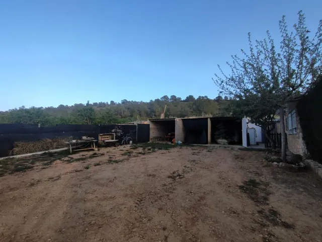 Casa de campo con 5.170 m2 de parcela a 9 min de Pinoso — 37