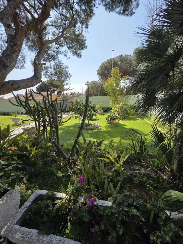 Casa 3 habitaciones 155m² en venta - Altos de Campoamor - foto 5