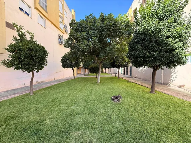 ¡PISO REFORMADO Y AMUEBLADO EN OLLERÍAS! JUNTO A TORRE DE LA MALMUERTA Y PLAZA DE COLÓN — 5