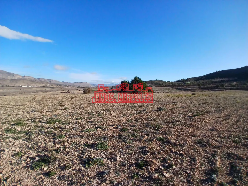 ¡¡ PRECIOSA PARCELA DE 20.300 M2 EN HONDÓN FRAILES !!