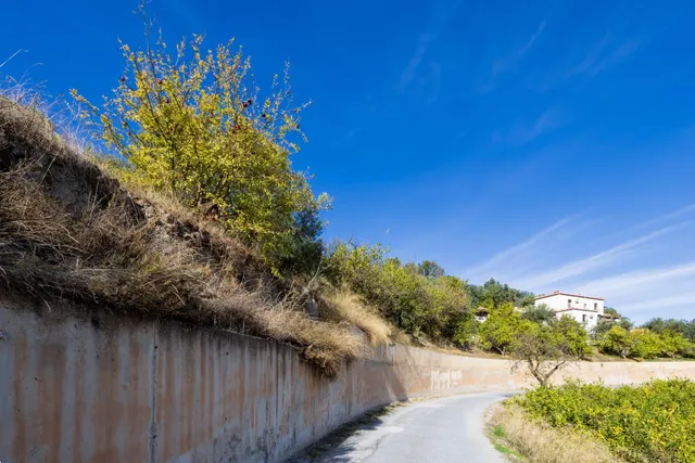 ¡Oportunidad única! Dos Fincas rústicas de mas de 15.000 m2 en total en Pinos del Valle. VENTA JUNTAS O SEPARADAS — 45