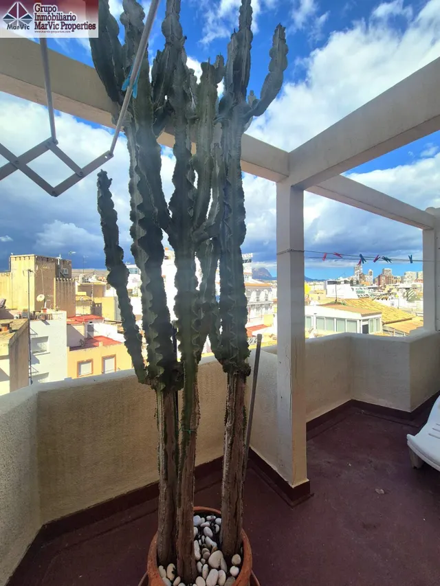 Primerísima línea de la playa de levante, Benidorm! — 27