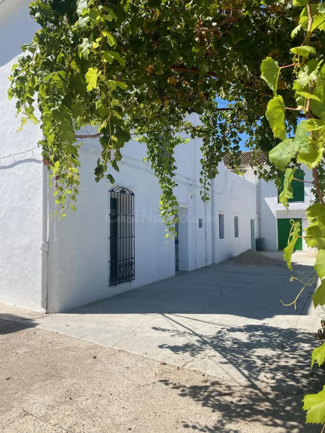 Villa 8 habitaciones 517m² en venta - Beniarjó - foto 4