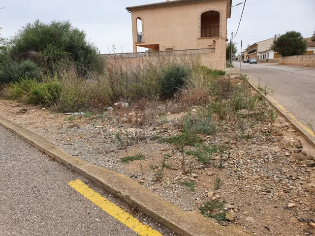 Solar con muchas posibilidades en Ses Salines - foto 3