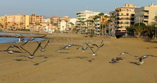 VENTA SOLAR PARA EDIFICIO DE 6 PLANTAS - foto 3